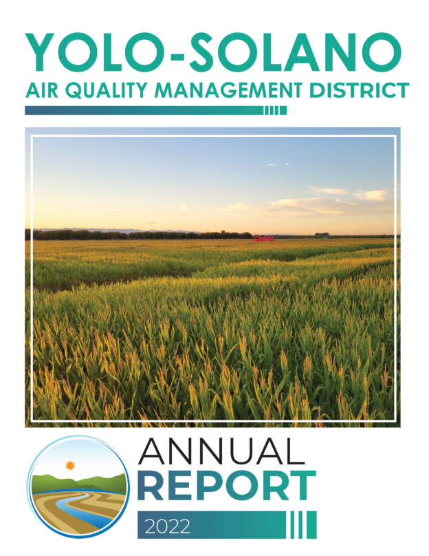 Cover page image and lInk to Annual Report document