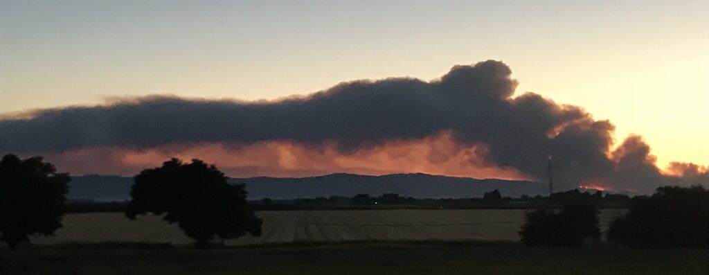 Image of a field at dusk with wildfire smoke plume.